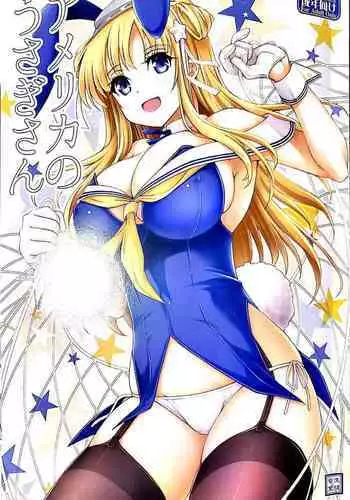 America no Usagi-san