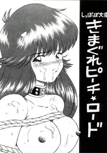 [RAT TAIL (IRIE YAMAZAKI)] Shizotsuko Bunko Kimagure Peach Road (Kimagure Orange Road)