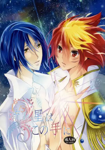 (SUPER20) [Renbu EXE (Subuta)] Nagareboshi wa Kono te ni (Star Driver)