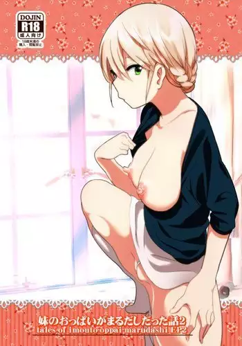 Imouto no Oppai ga Marudashi Datta Hanashi 2