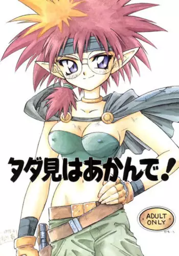 [Fuujinken (Morikawa Haru)] Tadamiwa Akande! (Lord of Lords Ryu Knight)