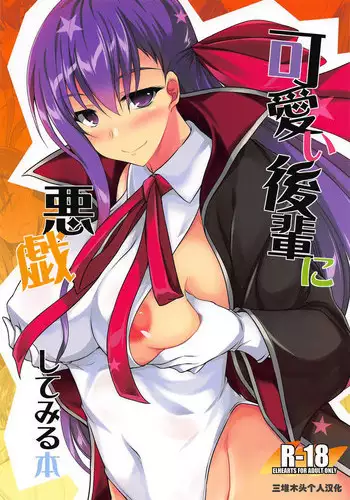 (SC2018 Autumn) [ELHEART'S (Ibuki Pon)] Kawaii Kouhai ni Itazura Shite Miru Hon (Fate/Grand Order) [Chinese] [三堆木头个人汉化]