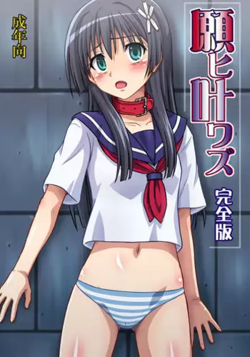 [Chi-Ra-Rhyzhm (Hidaka Toworu)] Negai Kanawazu Kanzenban (Toaru Kagaku no Railgun) [Digital]